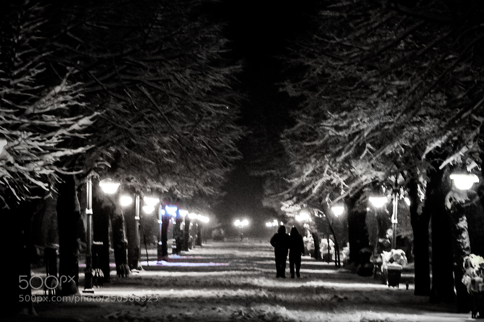 Nikon D5300 sample photo. Bw nightout photography