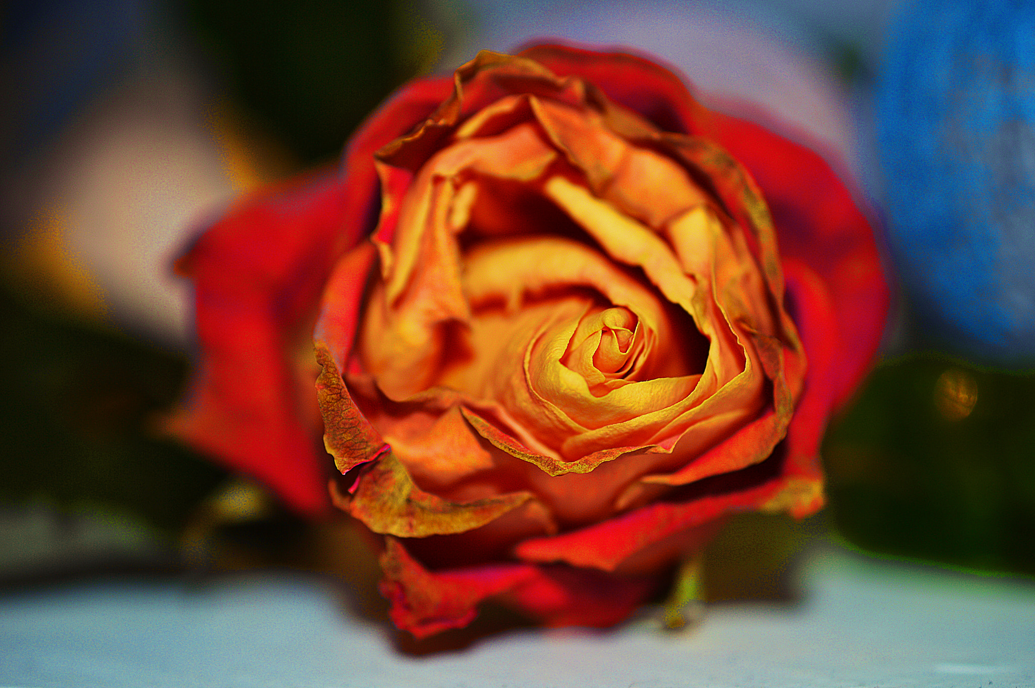 Nikon AF-S DX Micro Nikkor 40mm F2.8 sample photo. Abandoned dreams photography