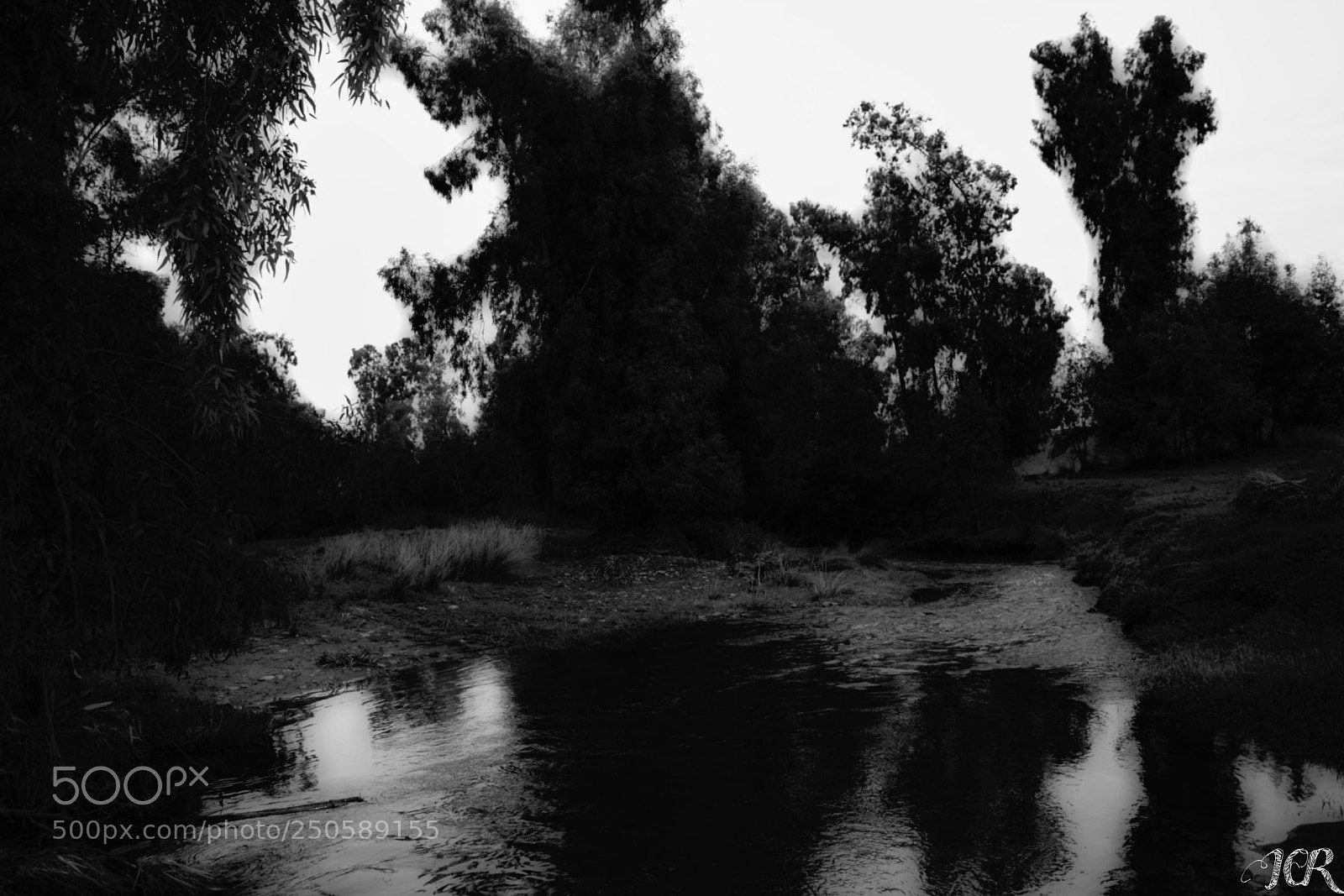 Nikon D5200 sample photo. Río negro photography