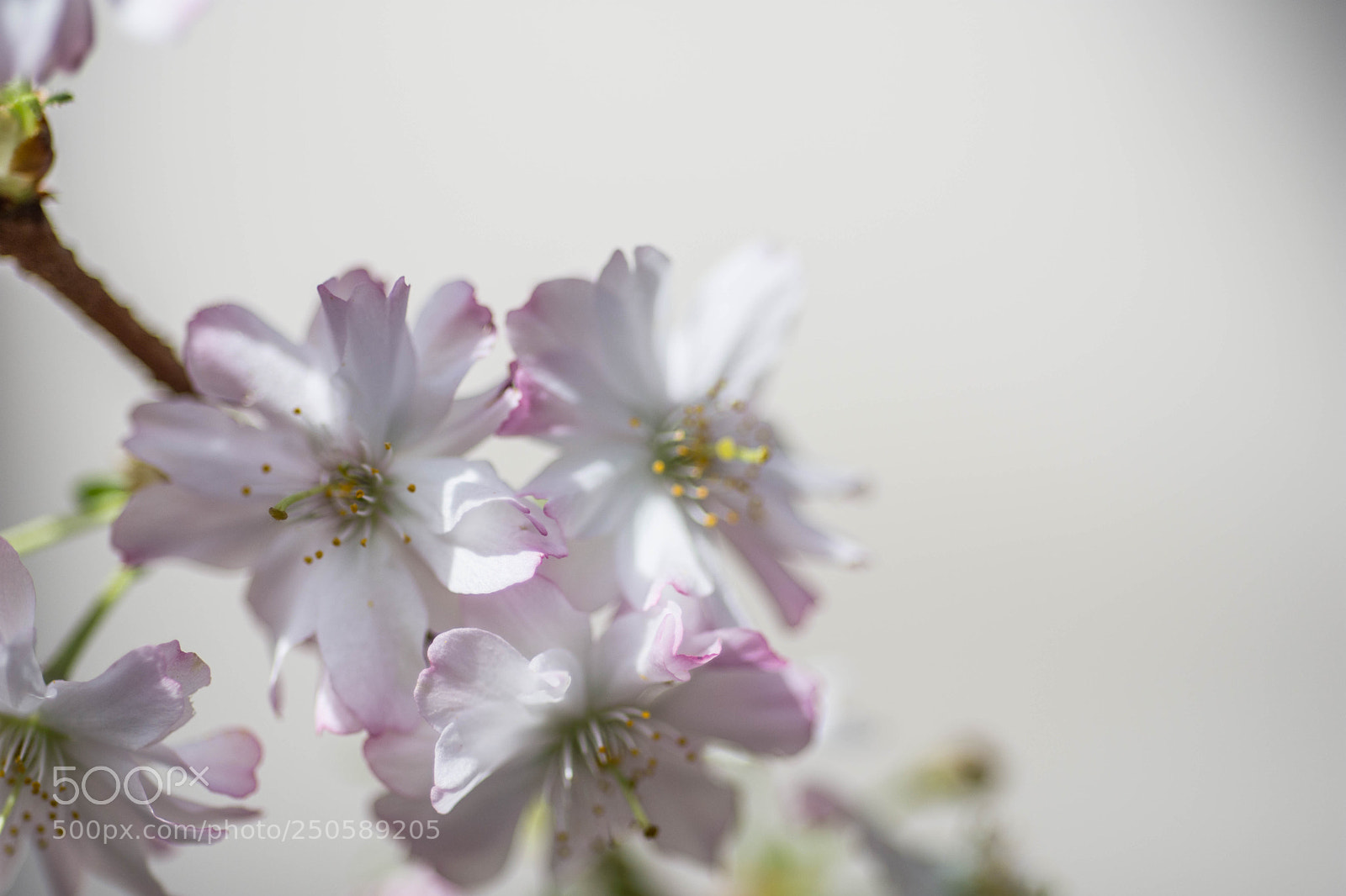 Nikon D7200 sample photo. I like the colors photography
