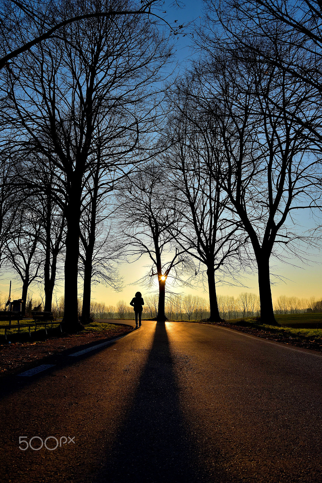 Nikon D5500 sample photo. The shadows of the sunset photography