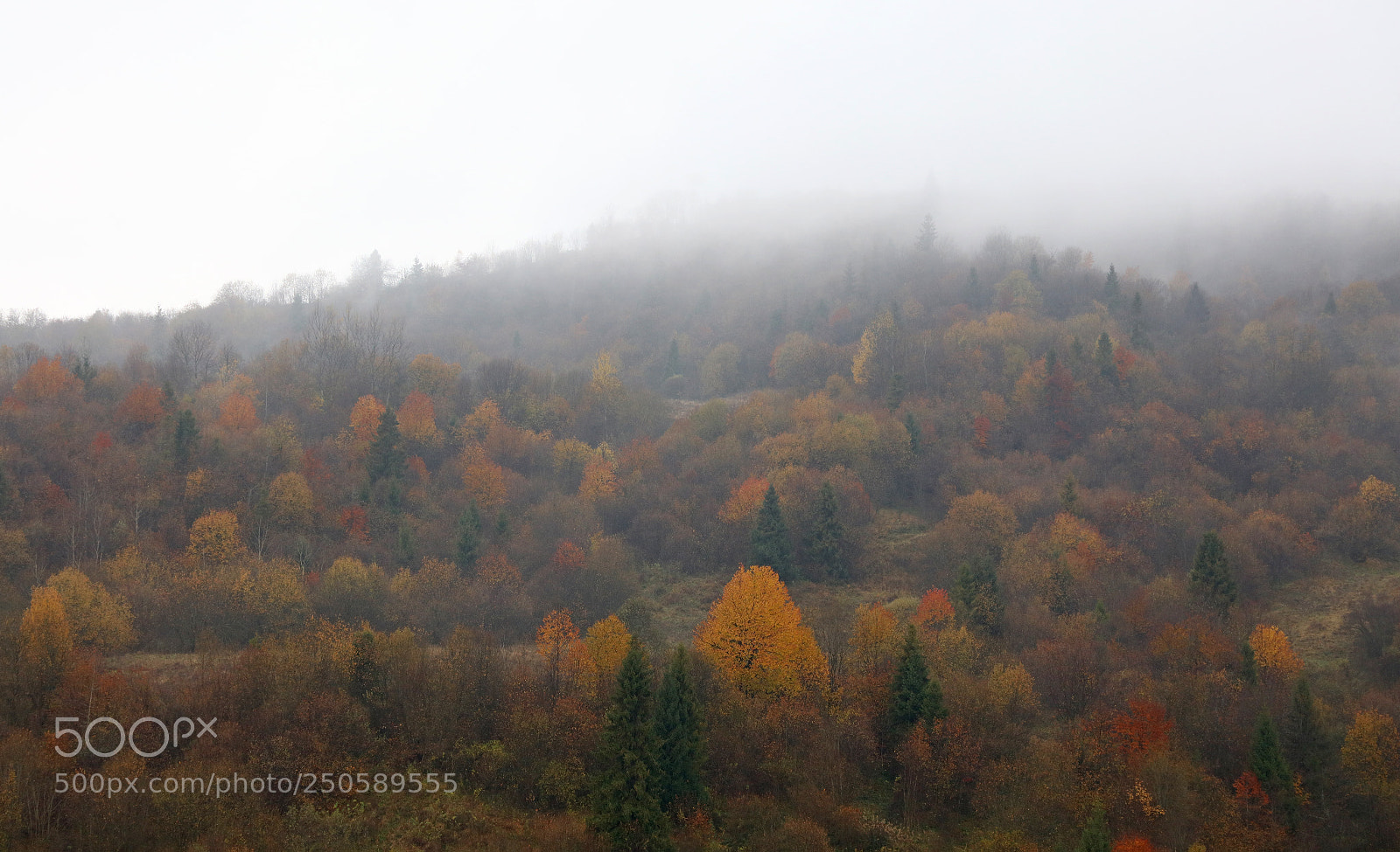 Canon EOS 5DS sample photo. Autumn mountains landscape photography