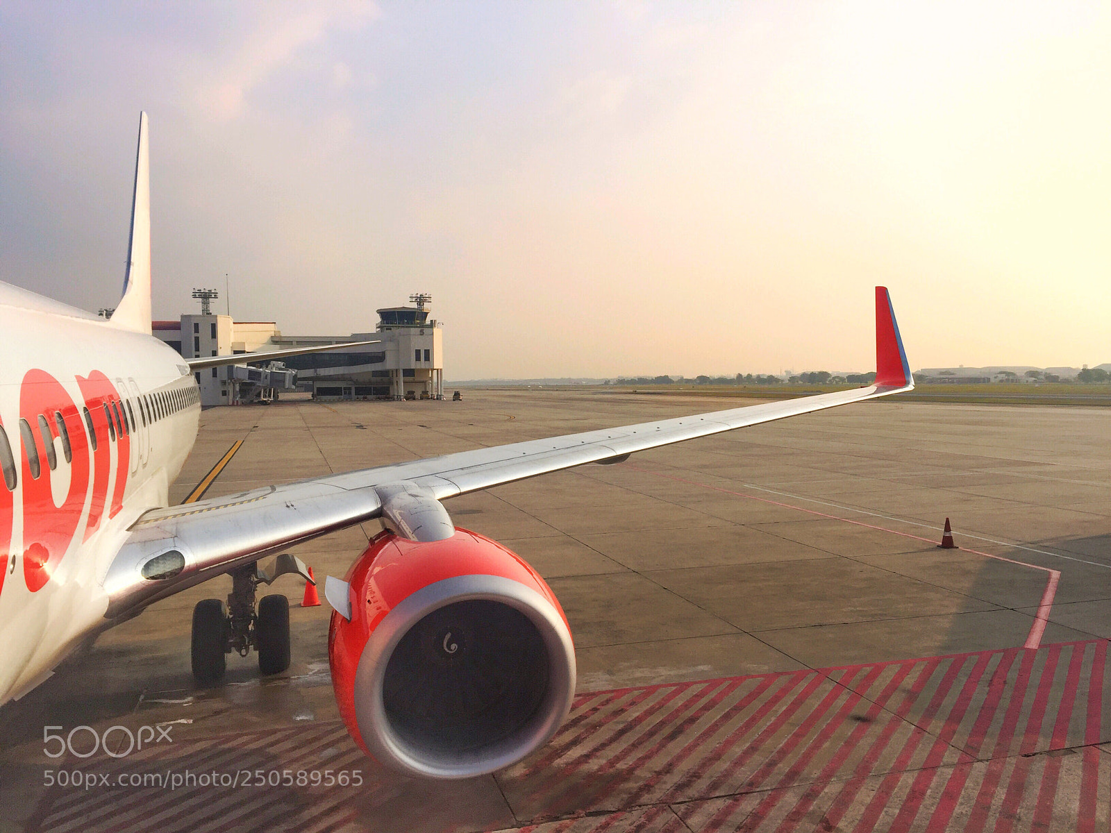 Apple iPhone 6 sample photo. Untitled photography