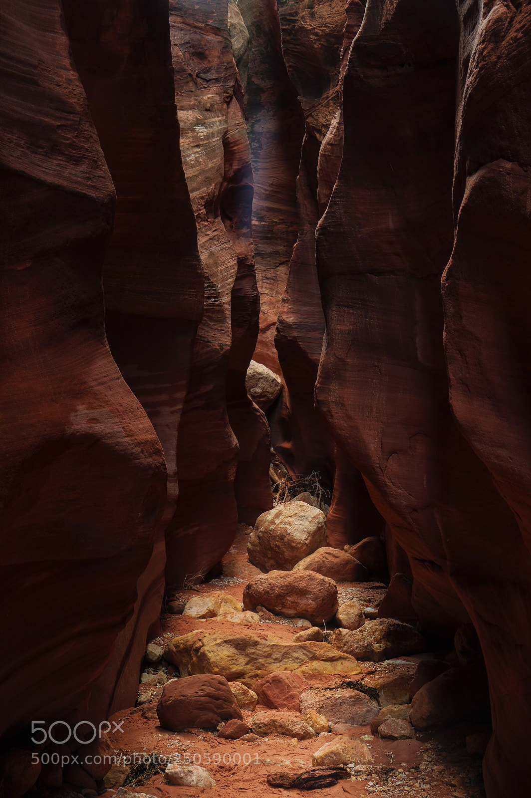 Pentax K-3 II sample photo. Ray of light photography