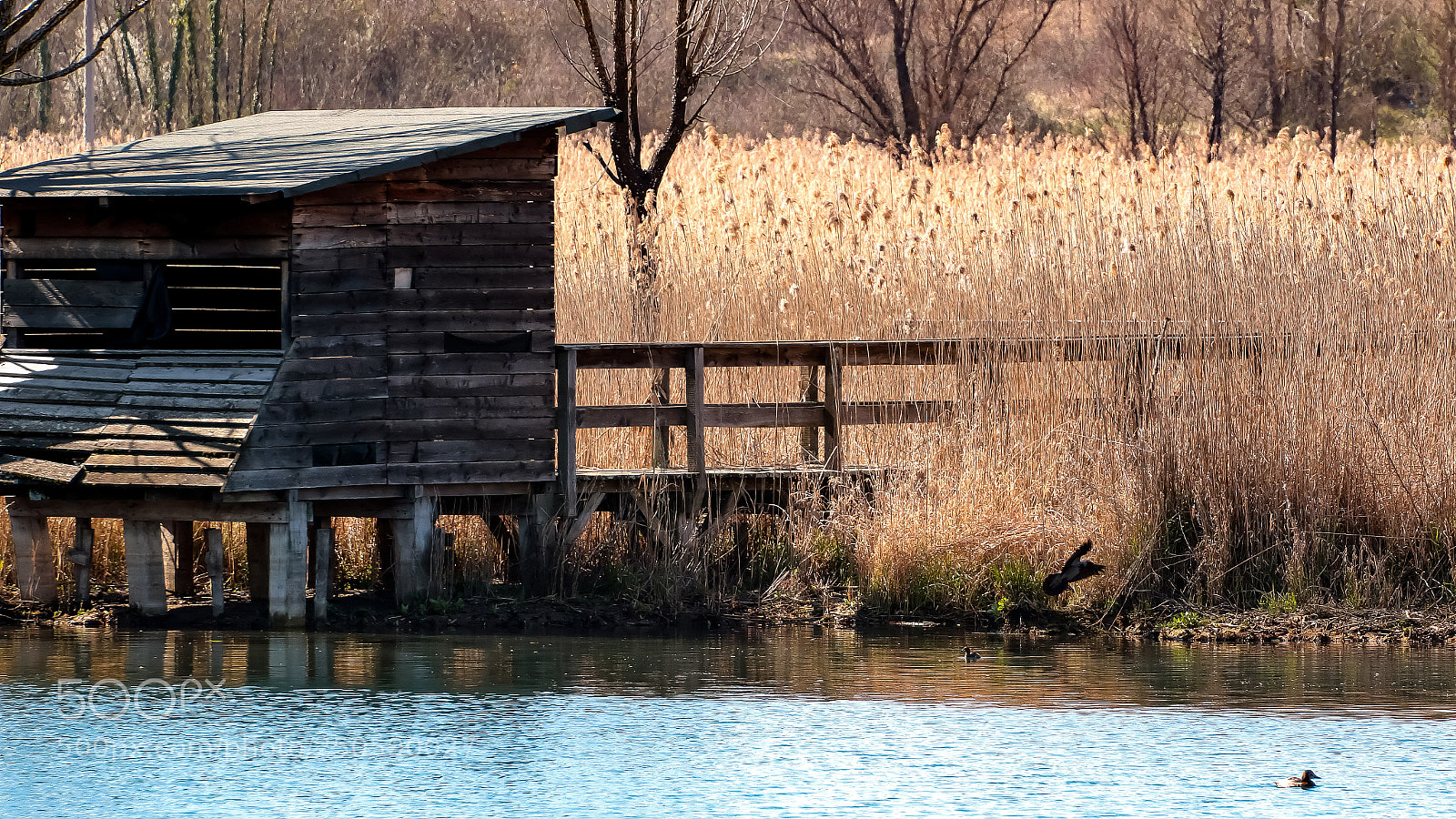 Canon EOS 7D Mark II sample photo. Untitled photography