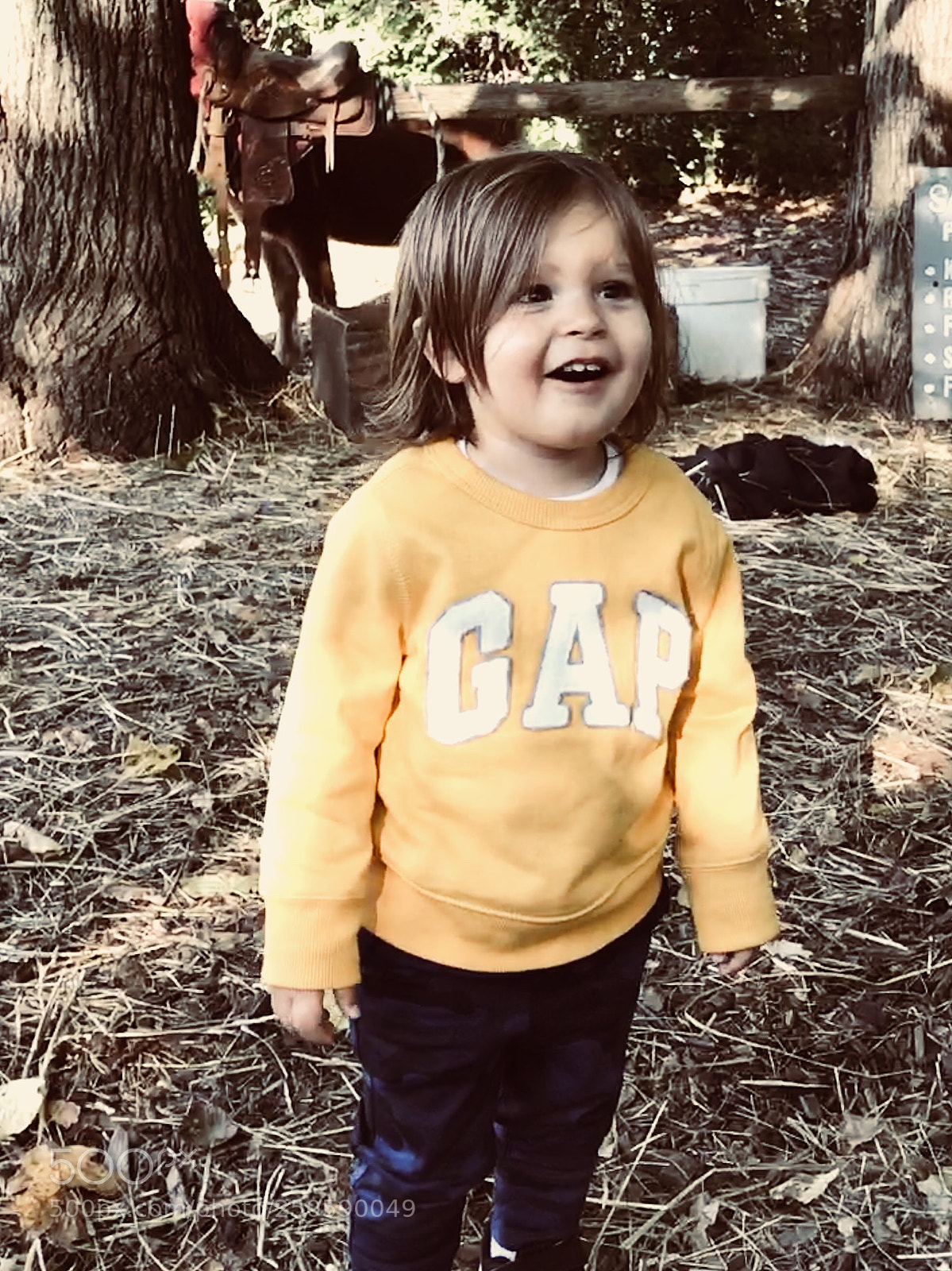 Apple iPhone 7 sample photo. Untitled photography