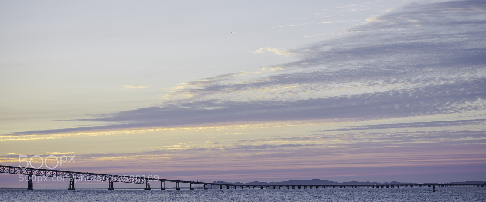 Nikon D7200 sample photo. 1480w photography