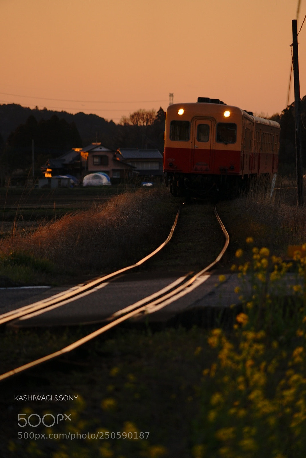 Sony a7 II sample photo. Twilight train photography