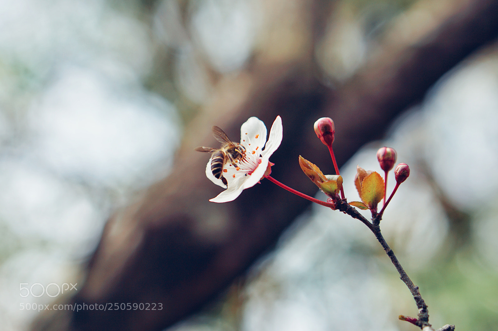 Sony a6000 sample photo. Untitled photography