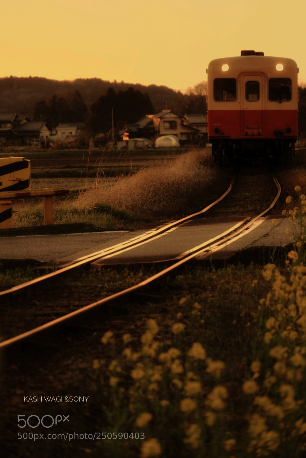 Sony a7 II sample photo. Twilight train photography