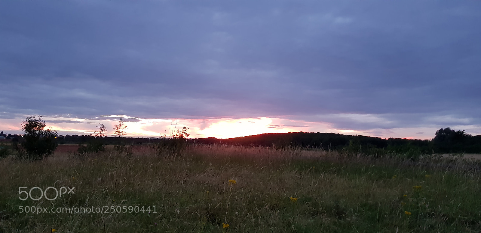 Samsung Galaxy S8+ sample photo. Untitled photography