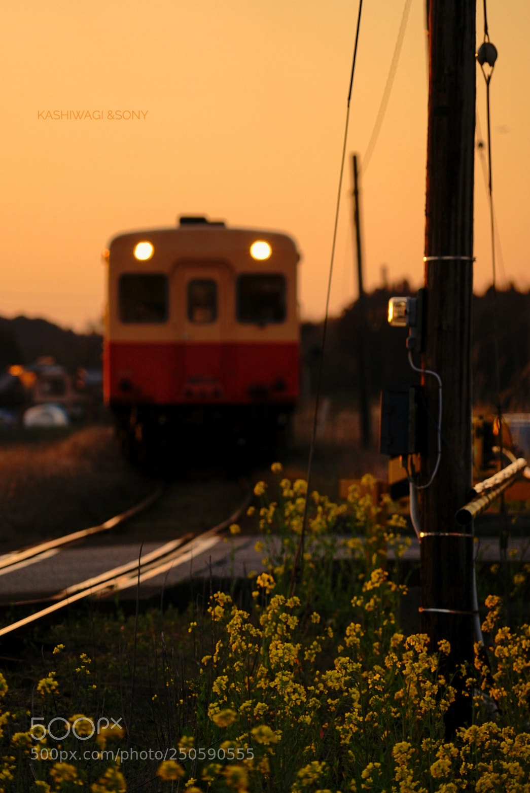 Sony a7 II sample photo. Twilight train photography