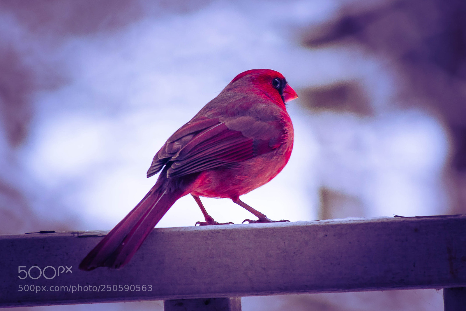 Nikon D3300 sample photo. Resting nature photography