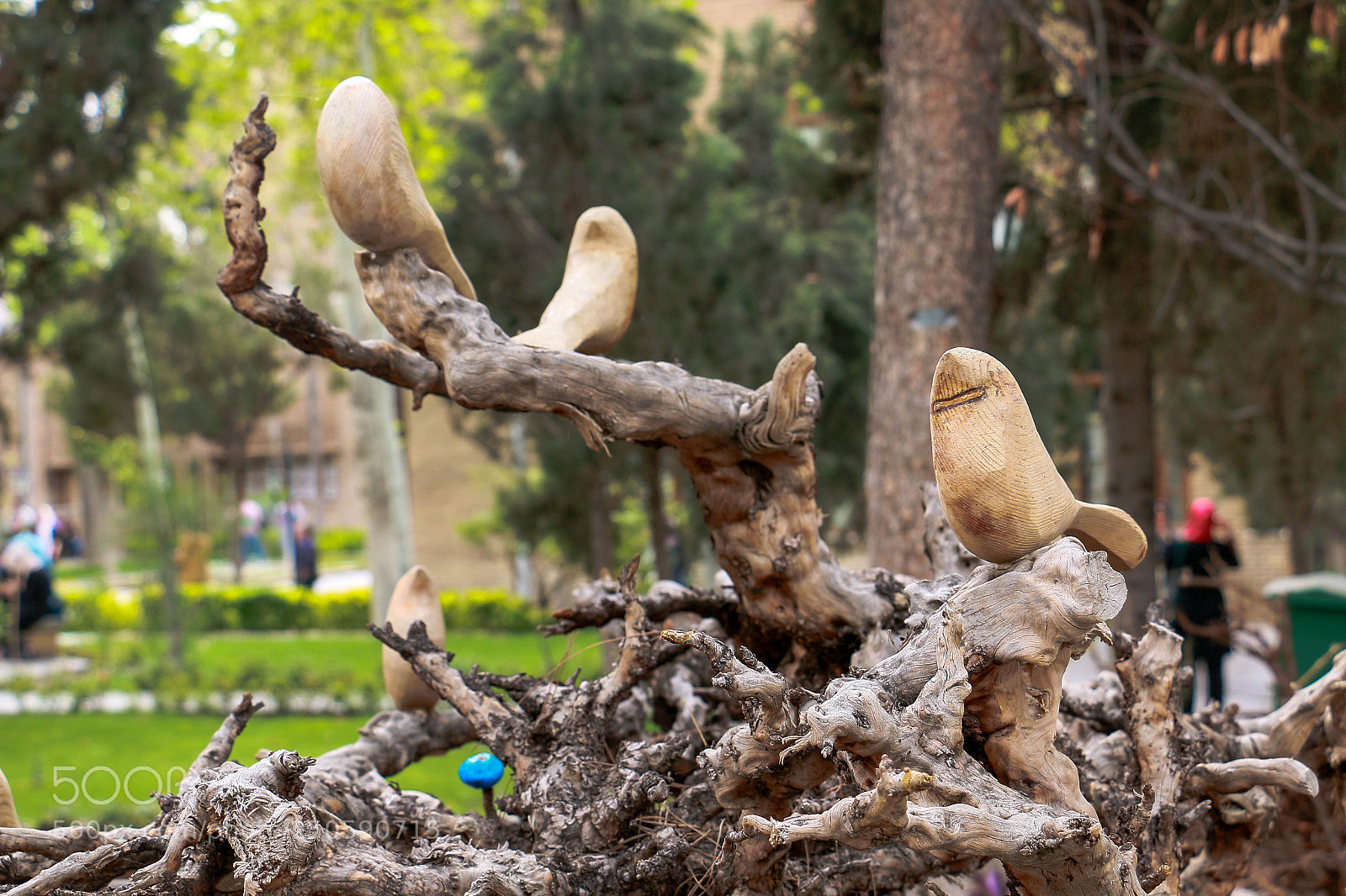 Canon EOS 70D sample photo. Wooden birds 2 photography