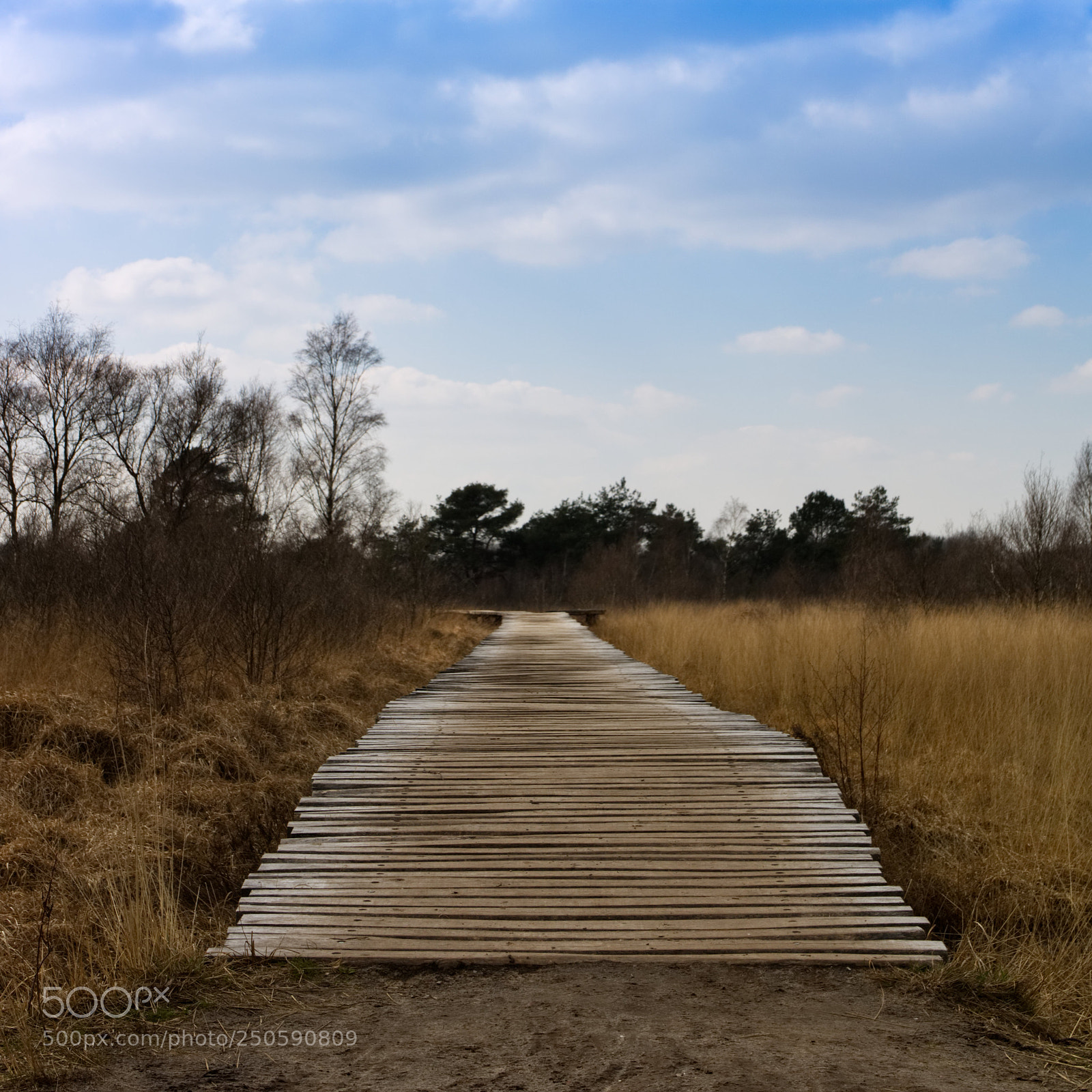 Canon EOS 750D (EOS Rebel T6i / EOS Kiss X8i) sample photo. The road to... photography
