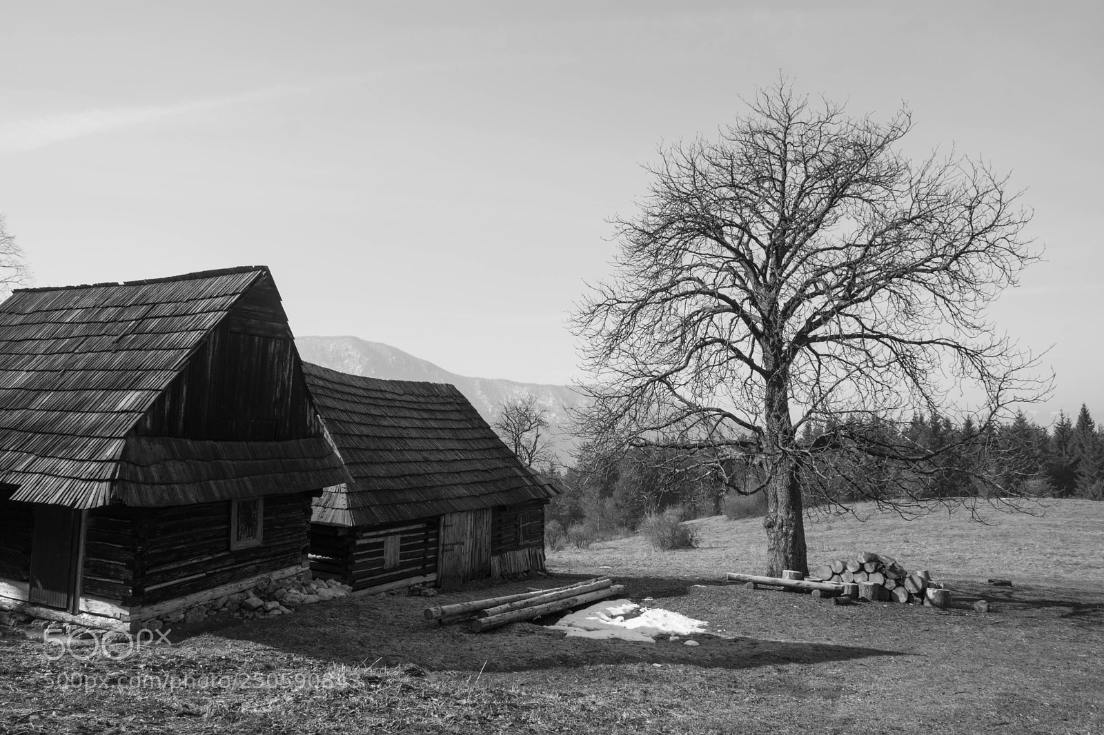 Nikon D5200 sample photo. Podšíp photography