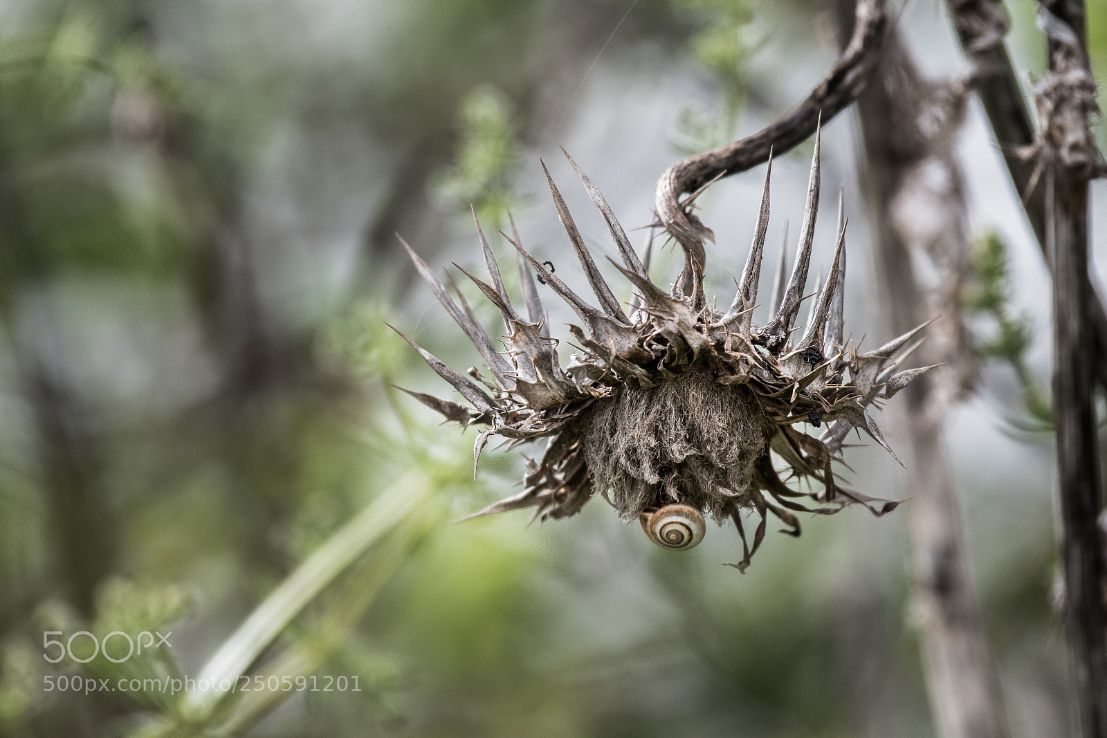 Nikon D500 sample photo. Chandelier photography
