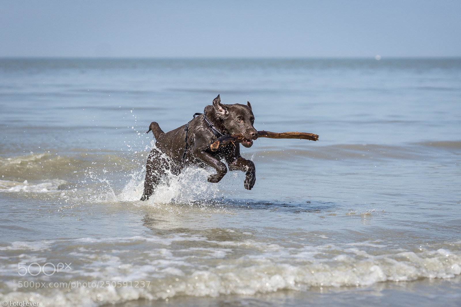Sony a7R III sample photo. First time in the photography