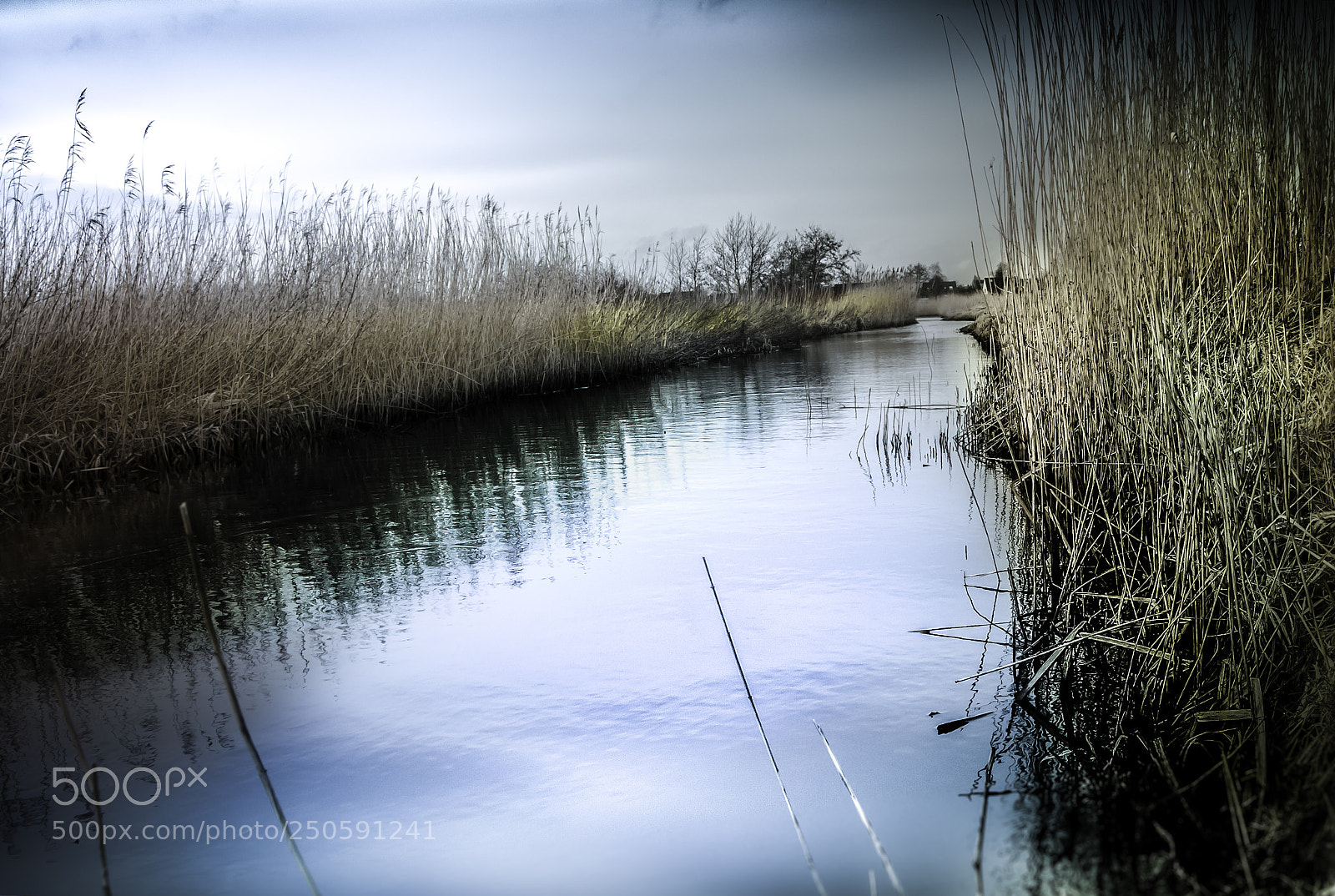 Nikon D5000 sample photo. Blue river photography