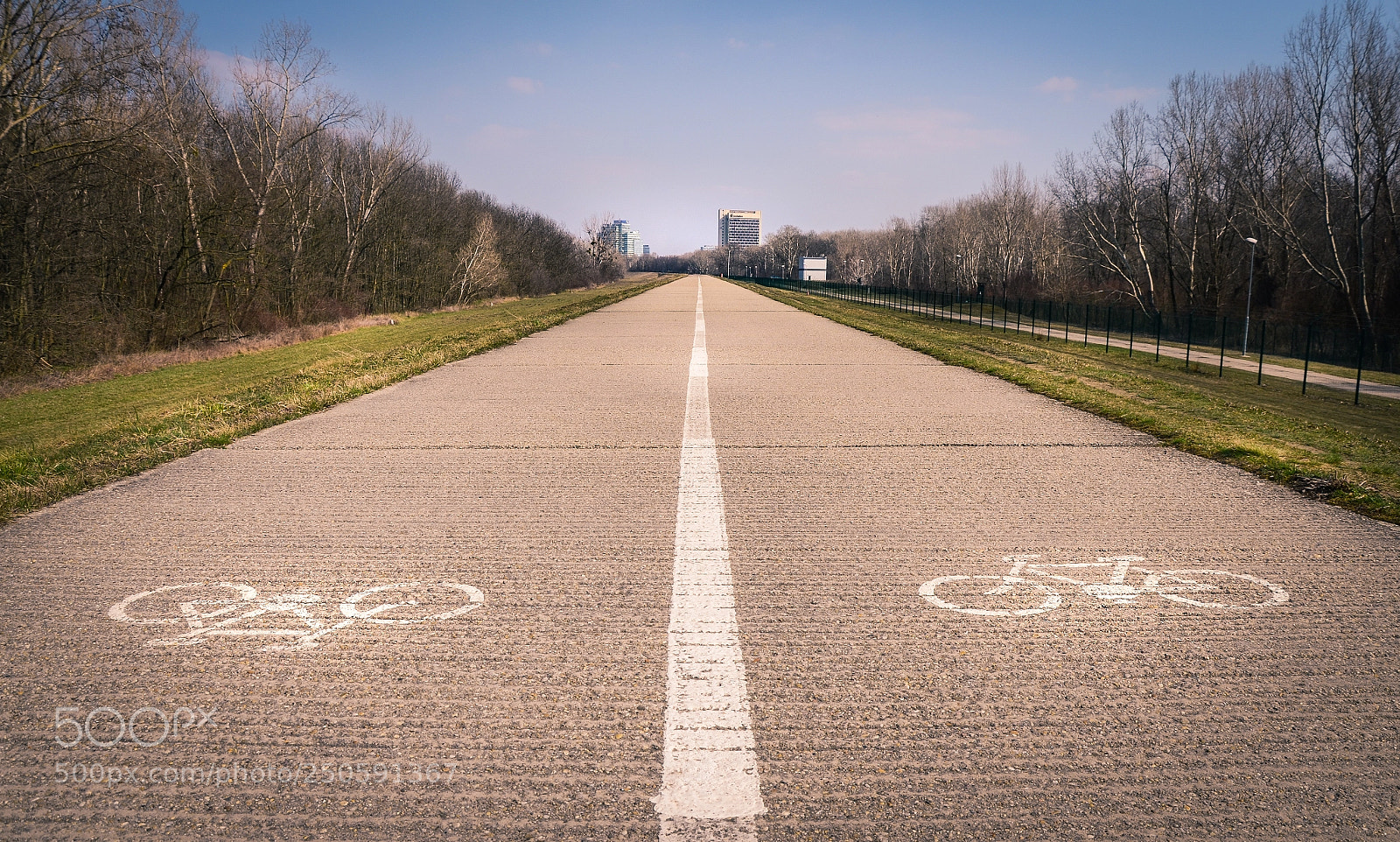 Nikon D5100 sample photo. Cycleway in spring photography
