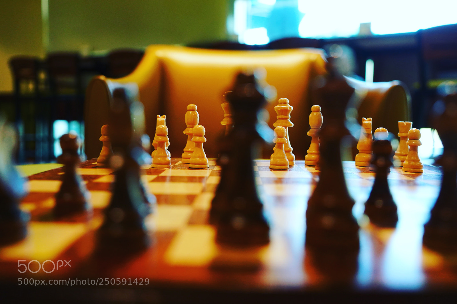 Sony a9 sample photo. Waiting game photography