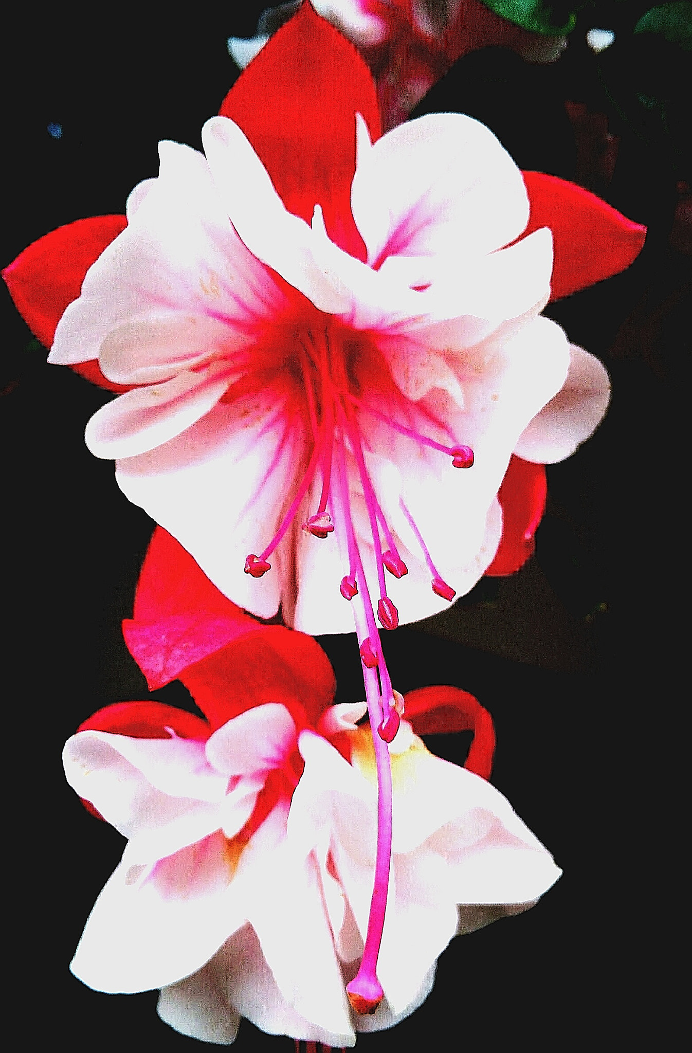 HUAWEI Honor 5X sample photo. Untitled photography