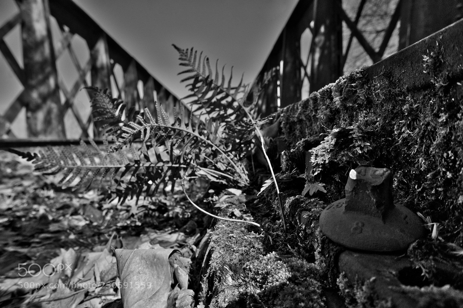 Sony Alpha a5000 (ILCE 5000) sample photo. Sur une ancienne voie photography