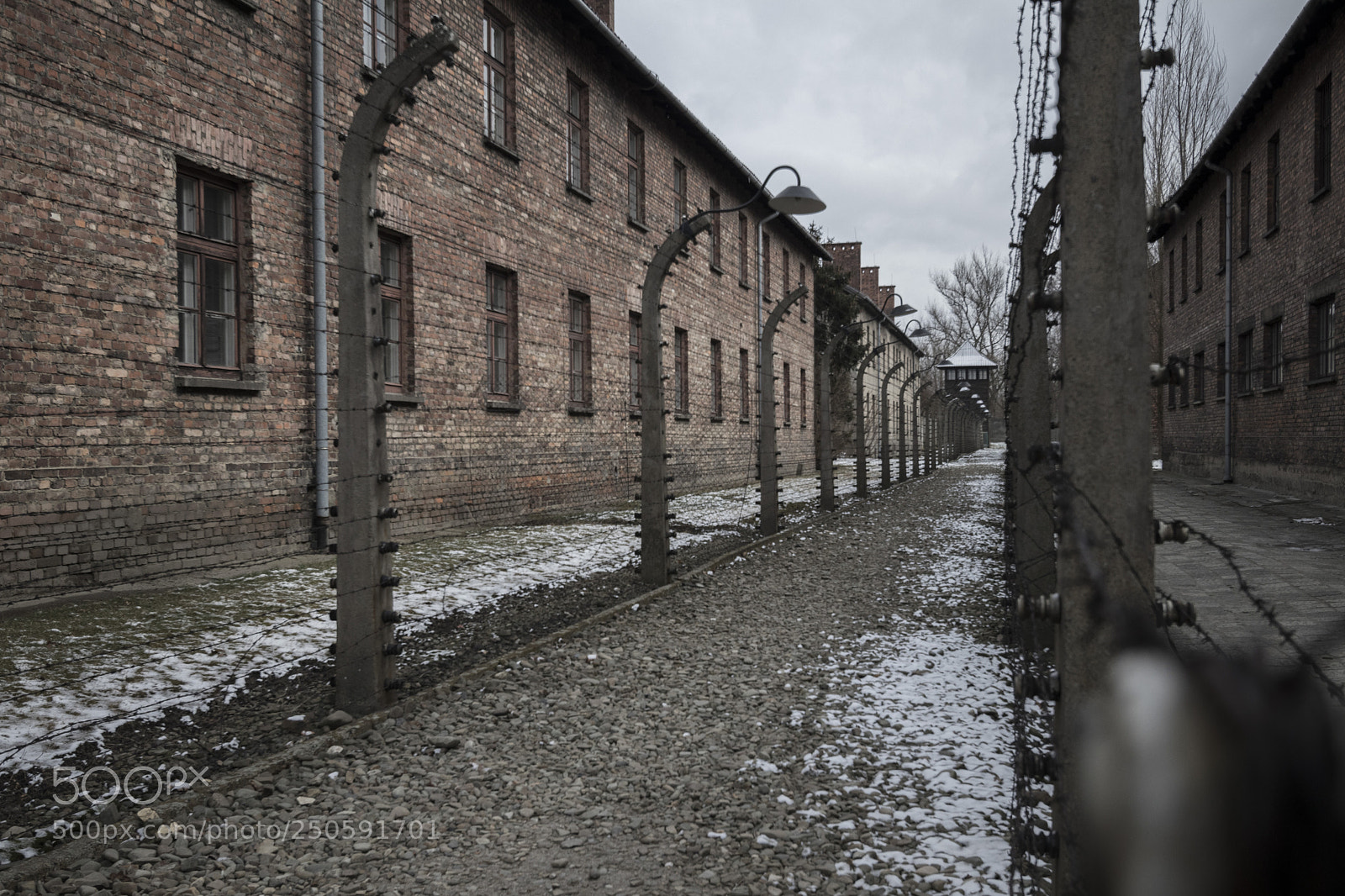 Canon EOS 80D sample photo. Auschwitz museum photography