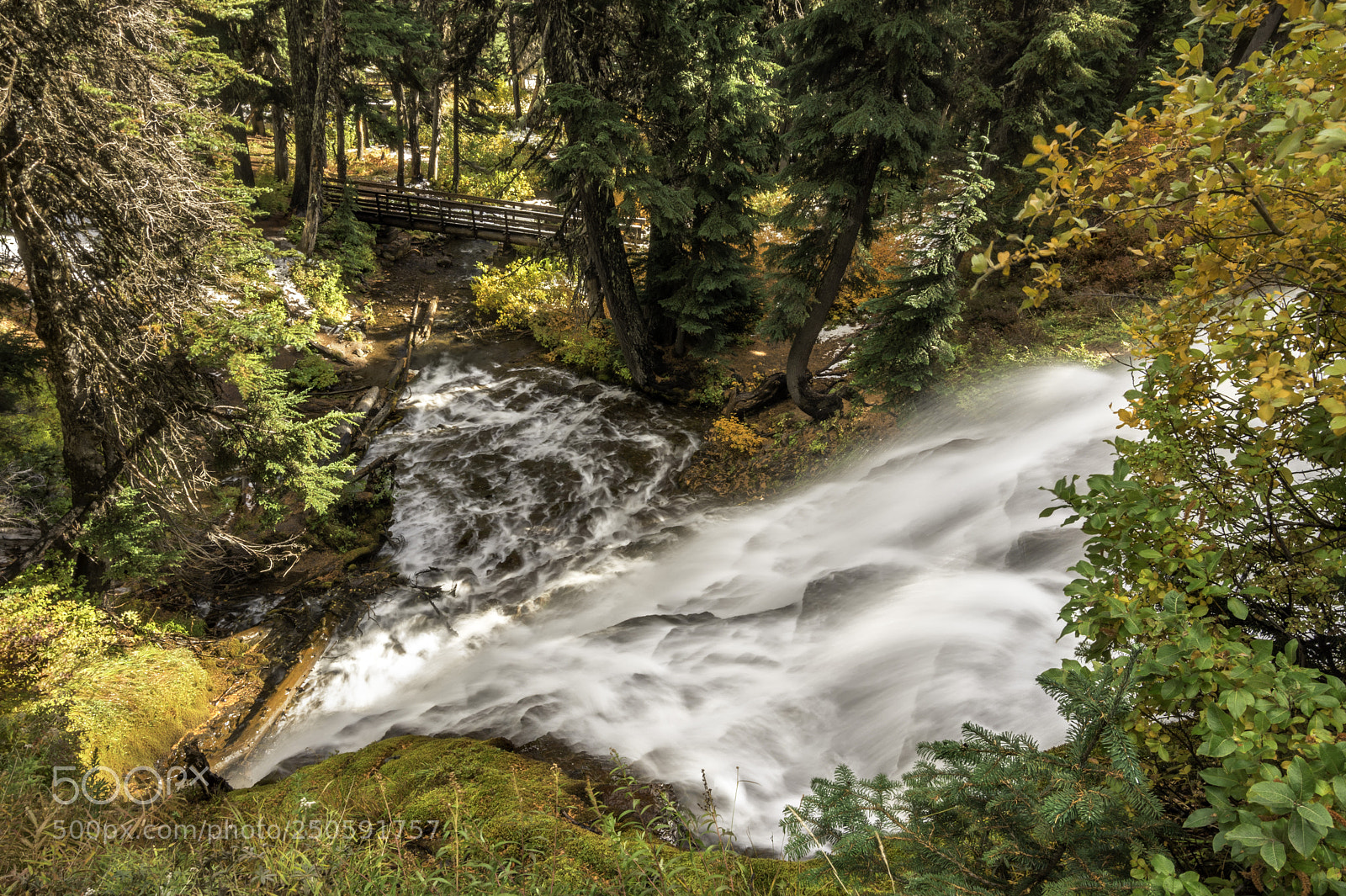 Nikon D7200 sample photo. 1523.jpg photography