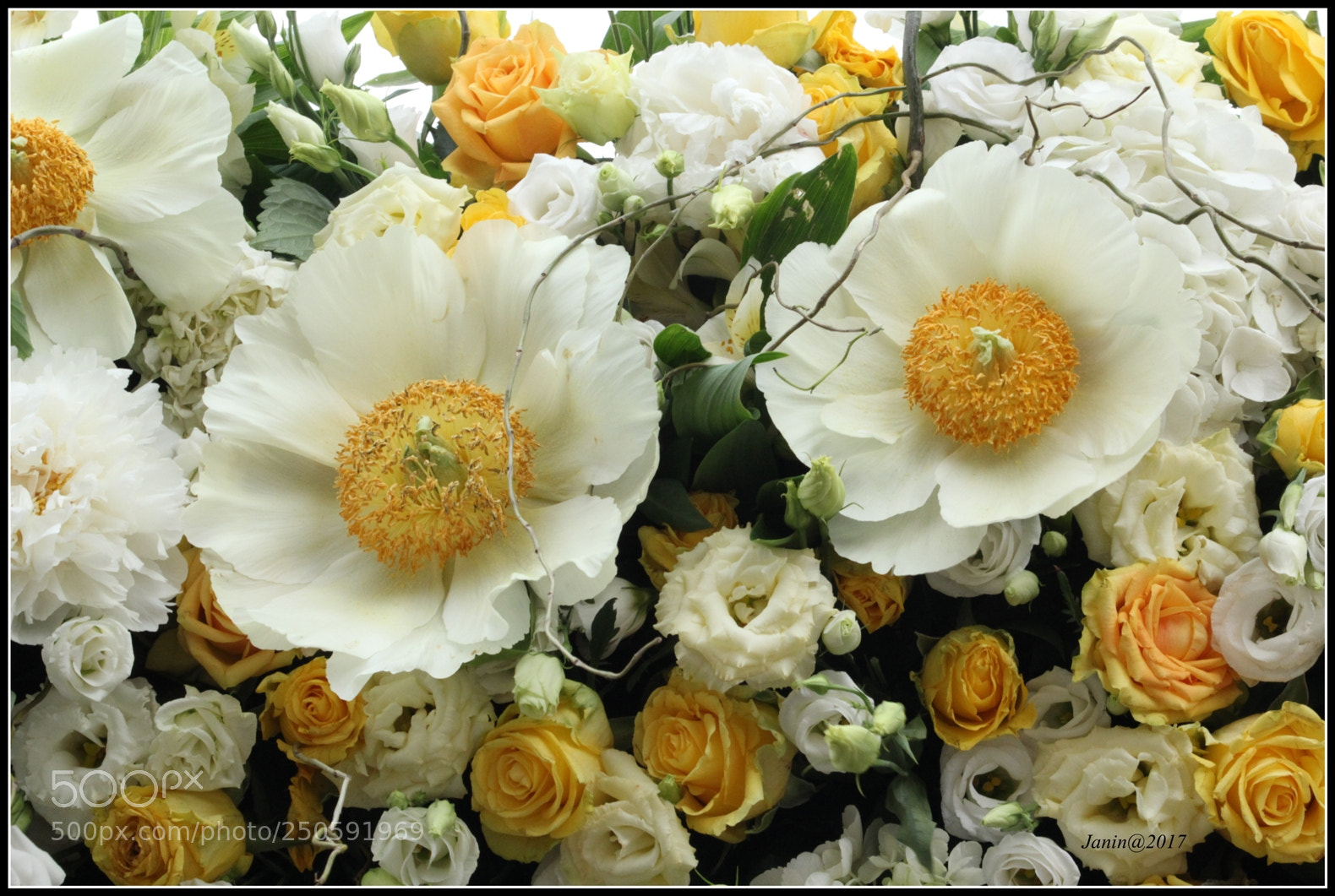 Canon EOS 60D sample photo. Details from flowers festival photography