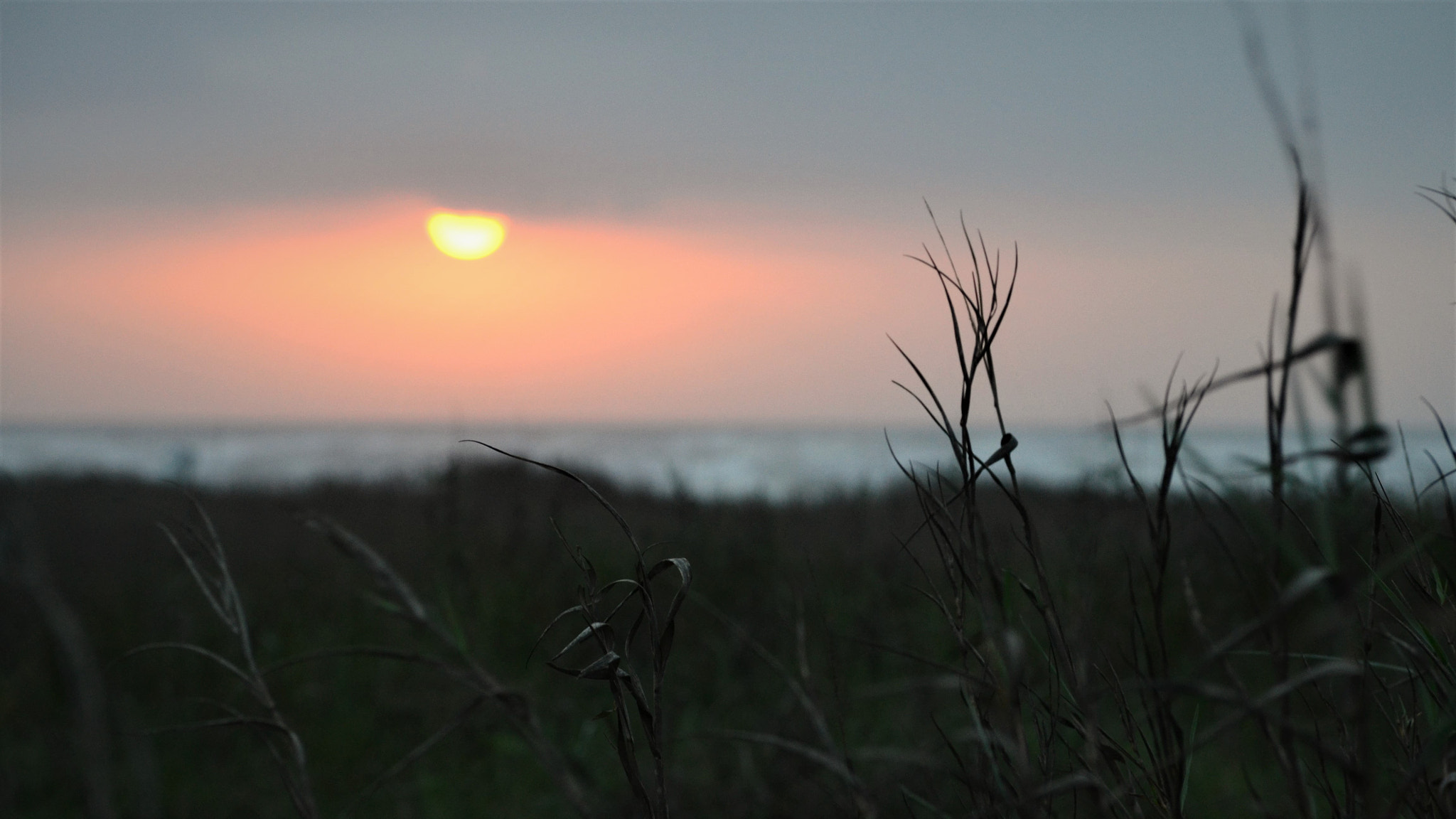 Nikon D3100 sample photo. Let there be light photography