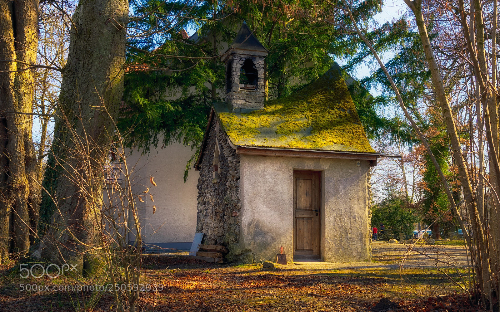 Sony ILCA-77M2 sample photo. Warped mossy roof photography
