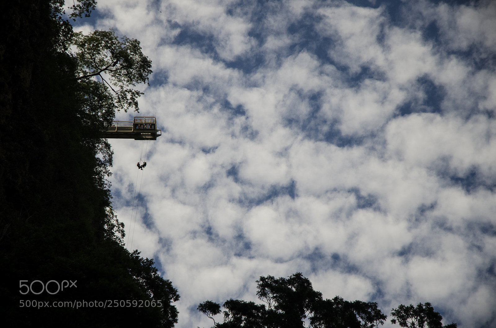 Nikon D7000 sample photo. Bonito ms 2 photography