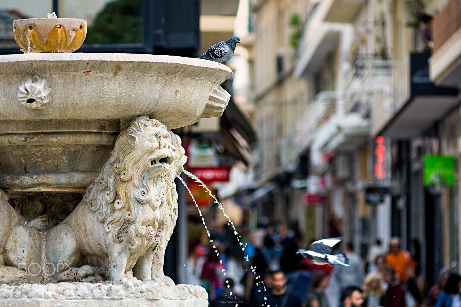 Nikon D7100 sample photo. The morosini fountain photography