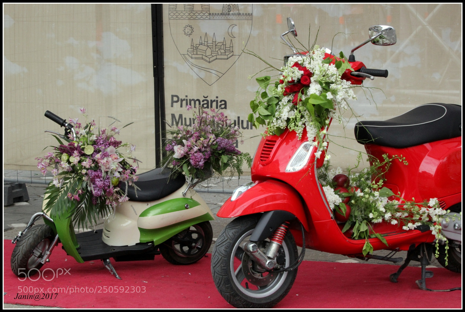 Canon EOS 60D sample photo. Flowers festival - my photography