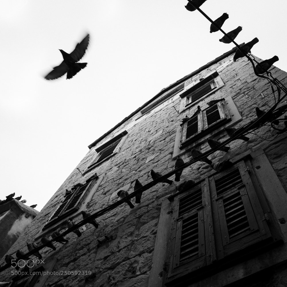 Fujifilm X100F sample photo. Flying photography