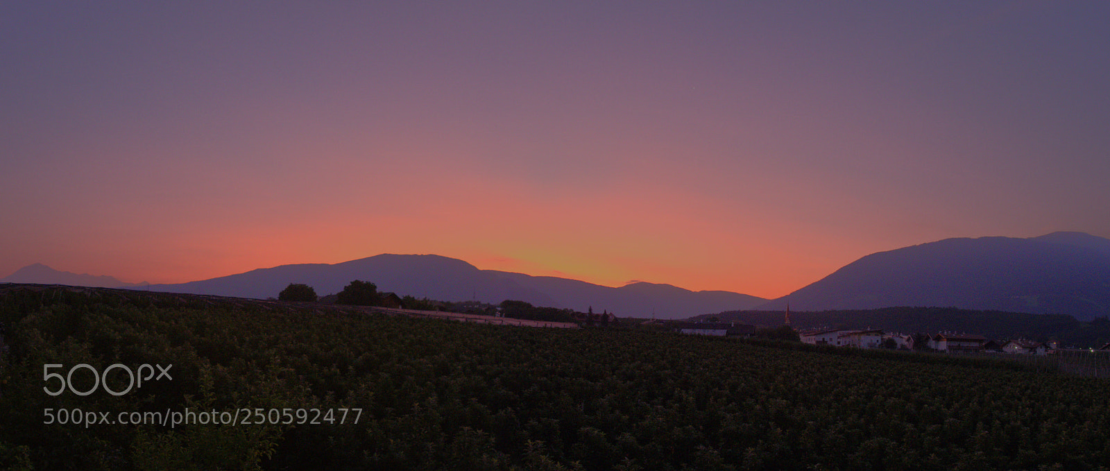 Olympus OM-D E-M10 II sample photo. Morgenrot photography