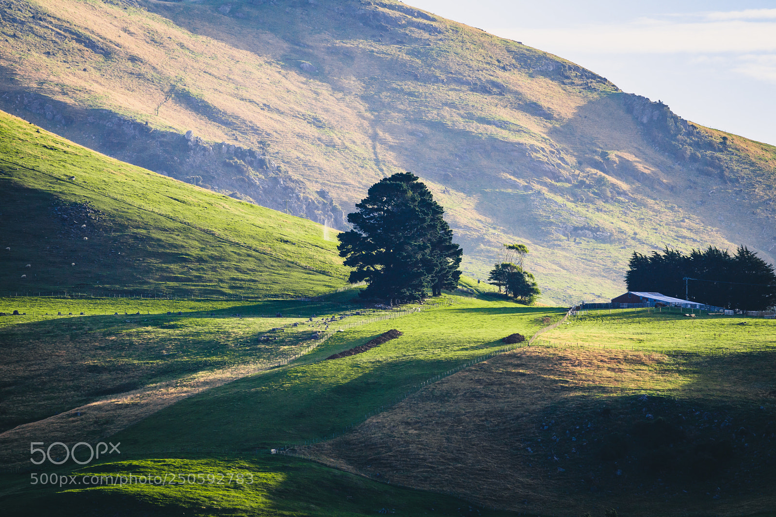 Canon EOS 760D (EOS Rebel T6s / EOS 8000D) sample photo. Tree in the mountains photography