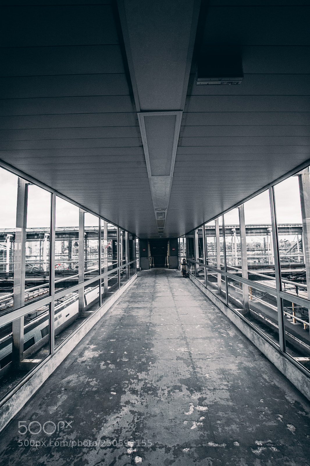 Nikon D7100 sample photo. Station photography