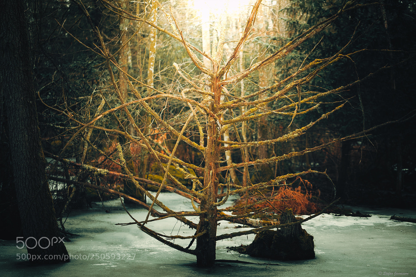 Canon EOS 5DS R sample photo. Holy ground photography