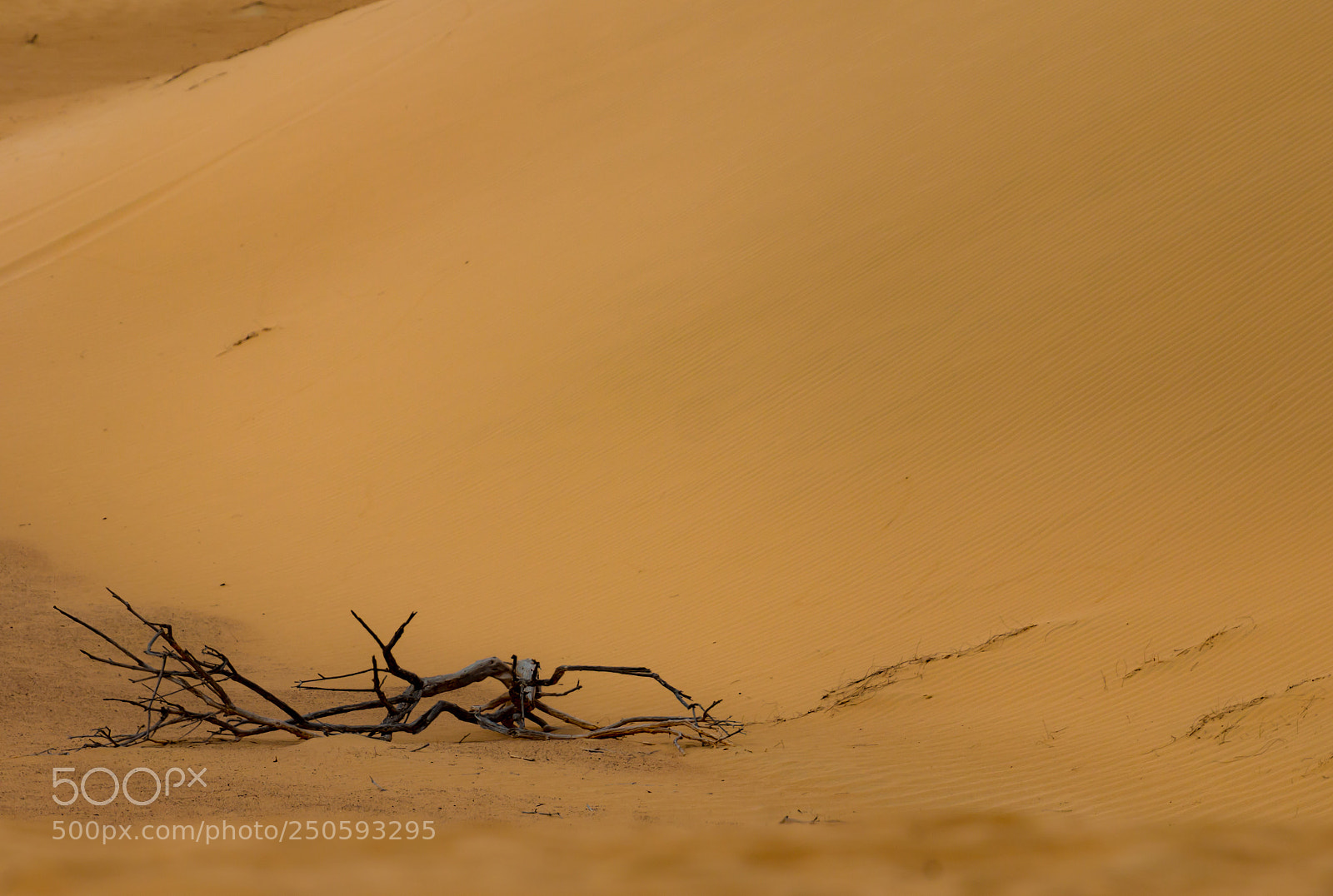 Canon EOS 70D sample photo. Desert photography