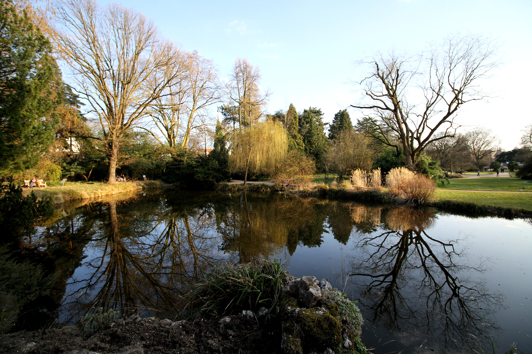 Canon EOS 7D sample photo. Reflection of nature photography