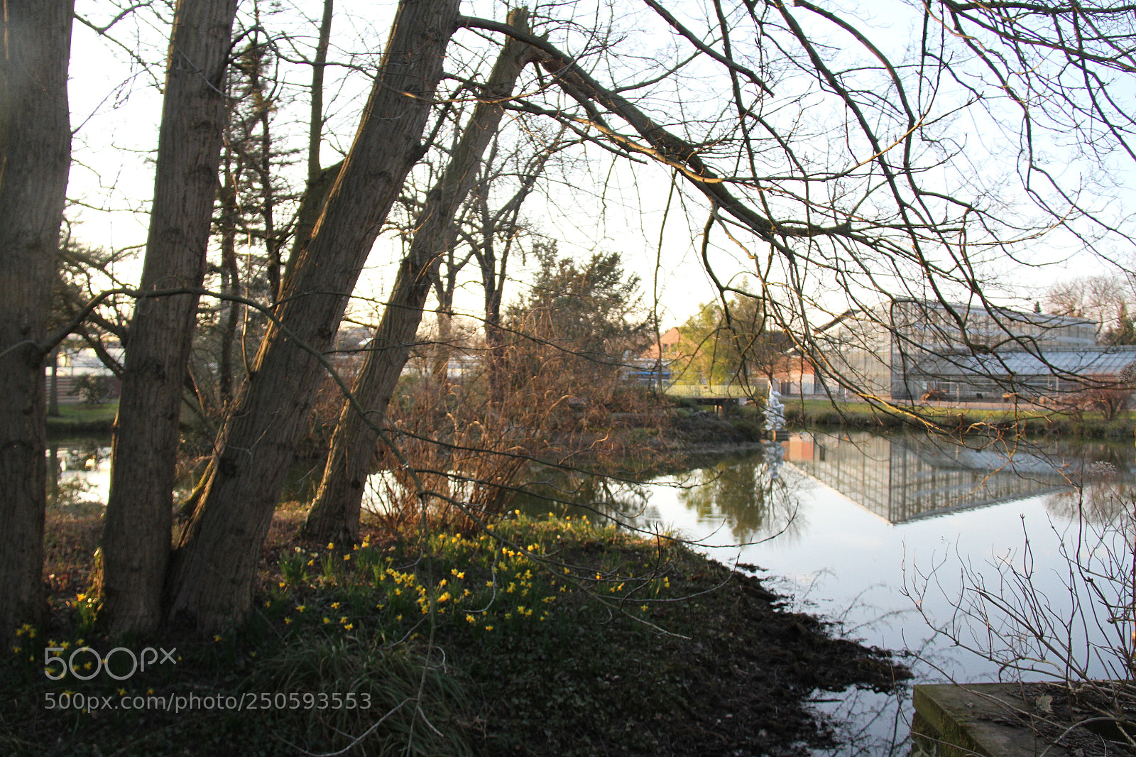 Canon EF-S 18-200mm F3.5-5.6 IS sample photo. Flora cologne photography