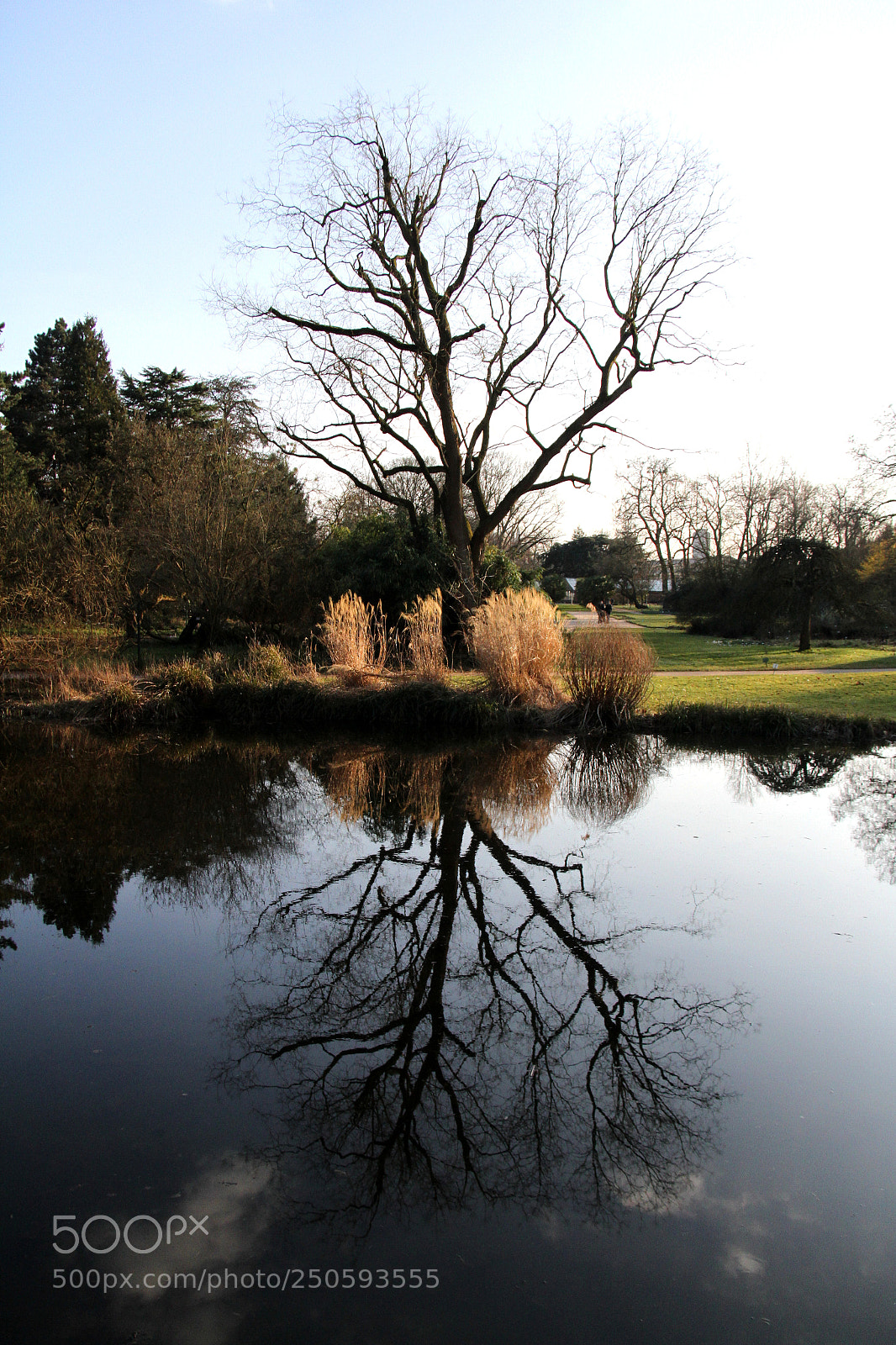 Canon EF-S 18-200mm F3.5-5.6 IS sample photo. Mirror photography