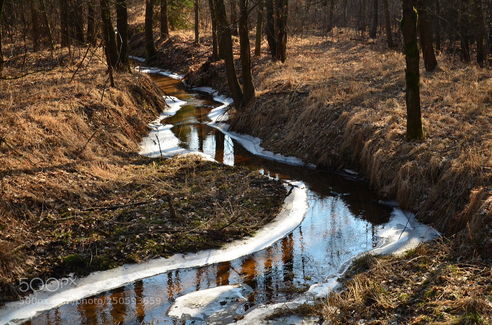 Nikon D5100 sample photo. 305 photography