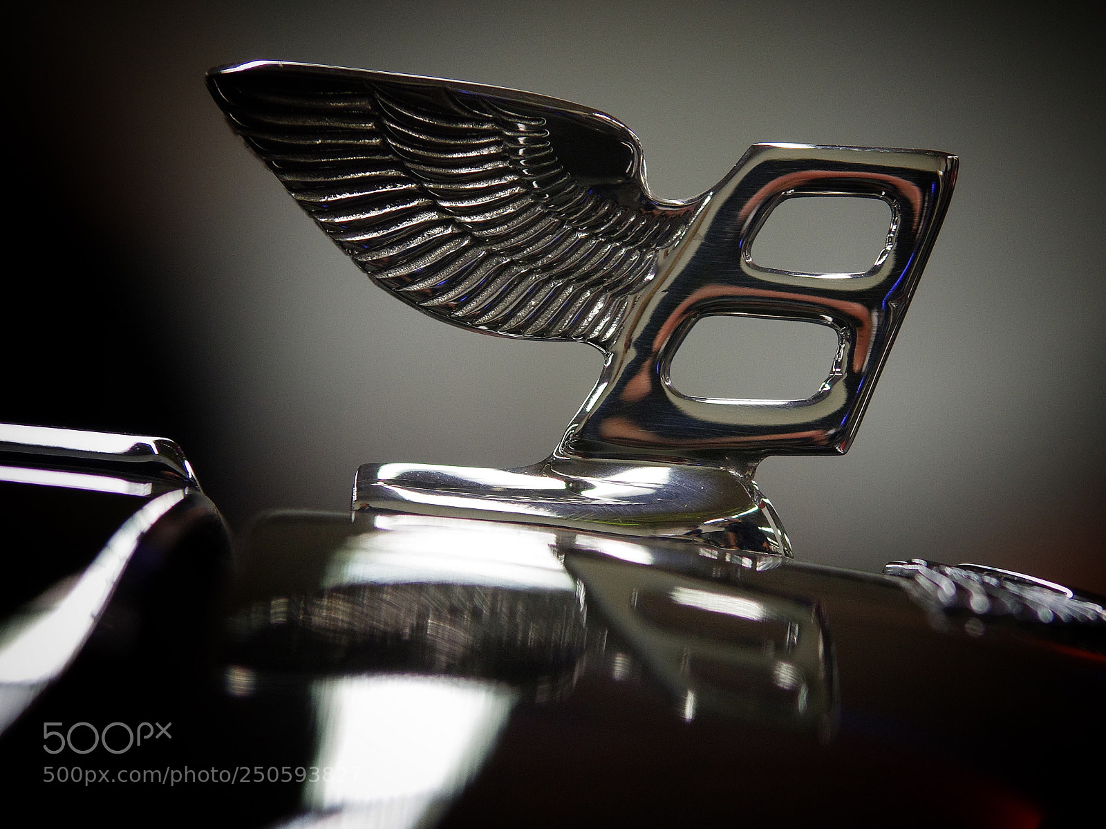 Pentax K-5 II sample photo. Flying b photography