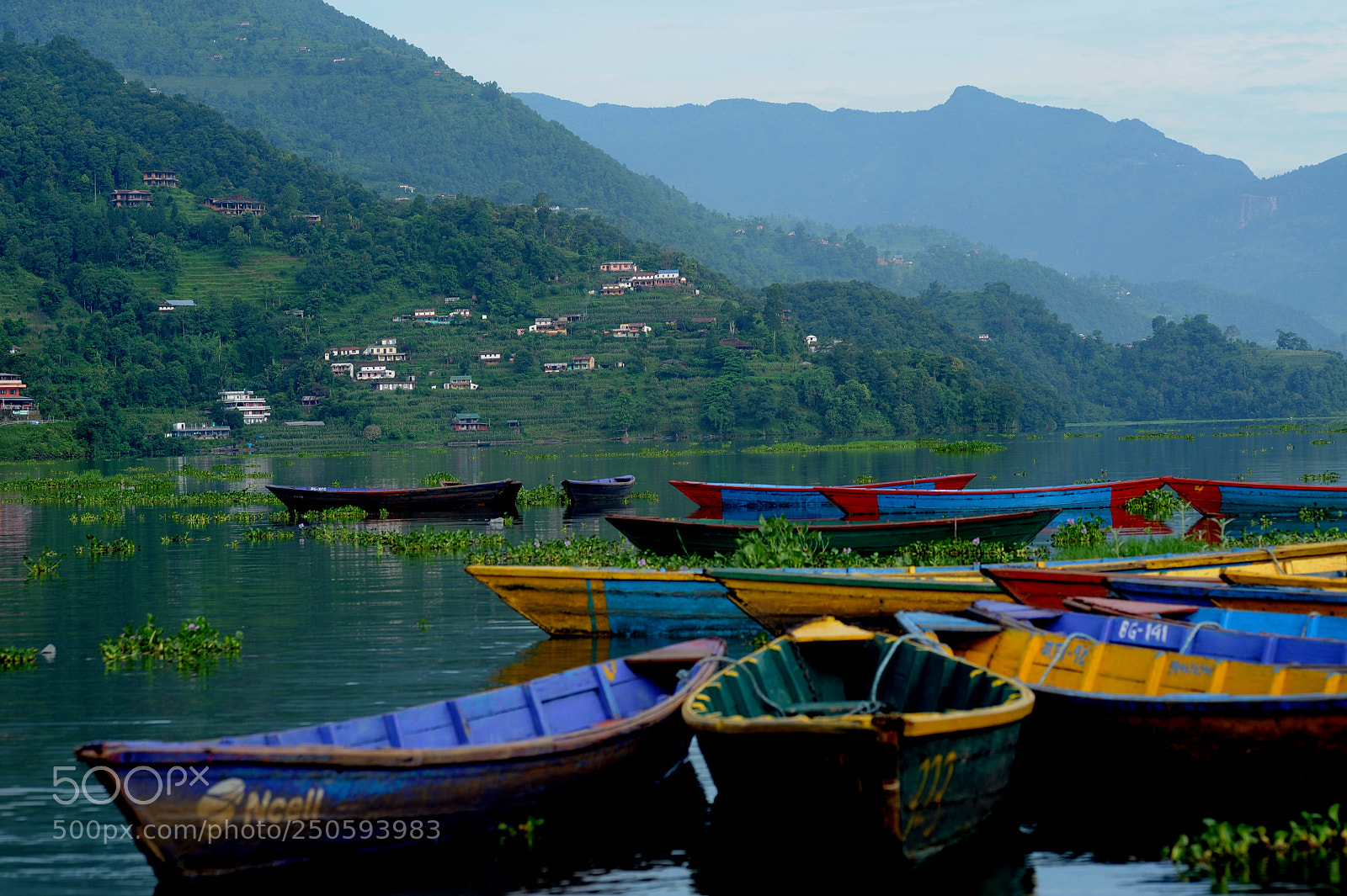 Nikon D700 sample photo. Boats at fewa lake photography