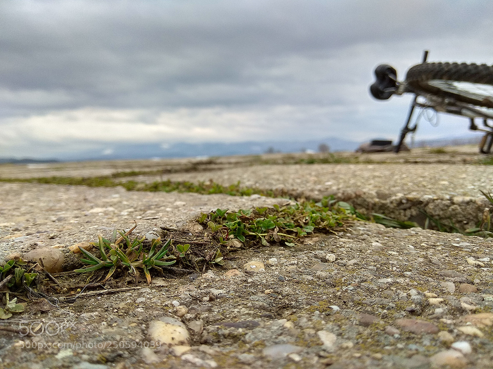 Xiaomi Redmi Note 4 sample photo. Untitled photography