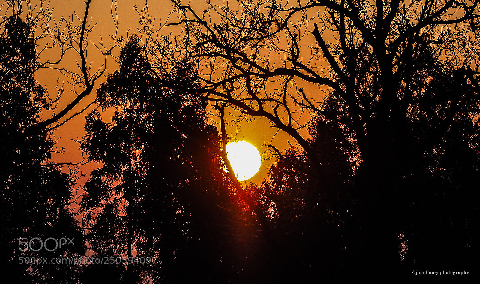 Olympus OM-D E-M10 II sample photo. Atardecer - sunset photography