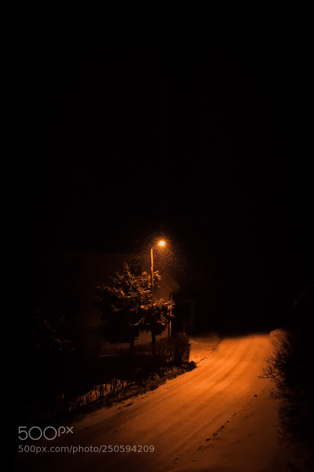 Nikon D700 sample photo. Bright side of the photography